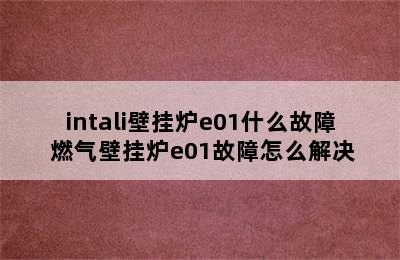 intali壁挂炉e01什么故障 燃气壁挂炉e01故障怎么解决